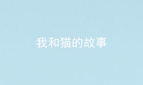 我和猫的故事