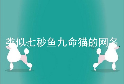 类似七秒鱼九命猫的网名