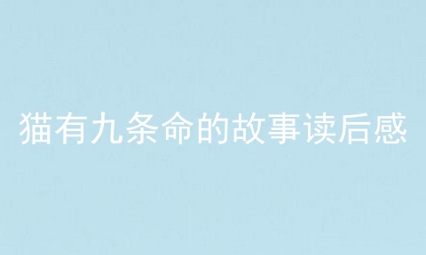 猫有九条命的故事读后感