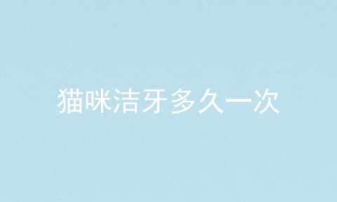 猫咪洁牙多久一次