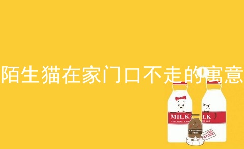 陌生猫在家门口不走的寓意