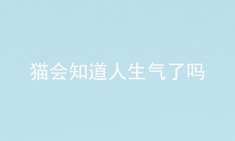 猫会知道人生气了吗