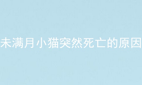 未满月小猫突然死亡的原因