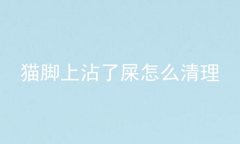 猫脚上沾了屎怎么清理