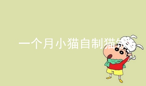 一个月小猫自制猫饭