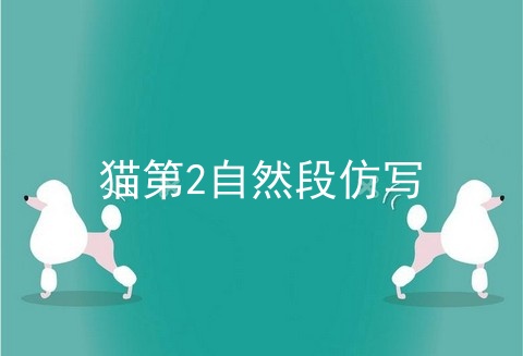 猫第2自然段仿写
