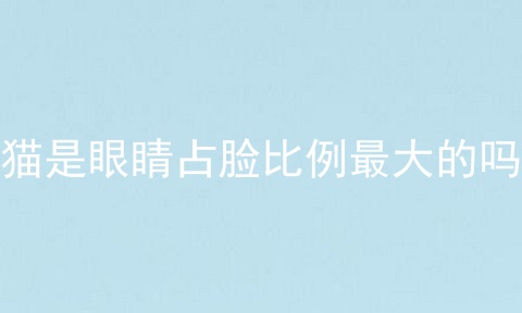 猫是眼睛占脸比例最大的吗