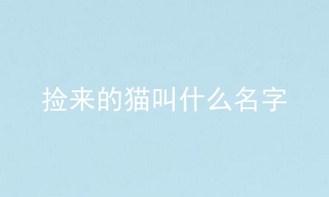 捡来的猫叫什么名字