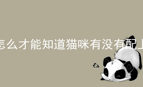 怎么才能知道猫咪有没有配上