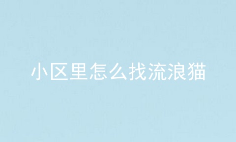 小区里怎么找流浪猫