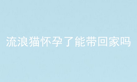 流浪猫怀孕了能带回家吗