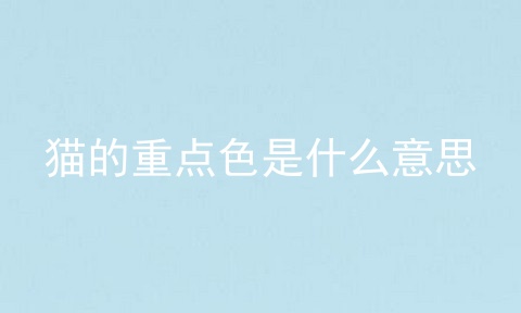 猫的重点色是什么意思