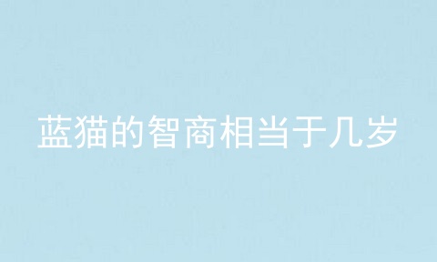 蓝猫的智商相当于几岁