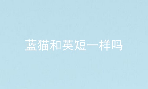 蓝猫和英短一样吗