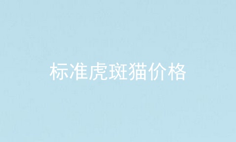 标准虎斑猫价格