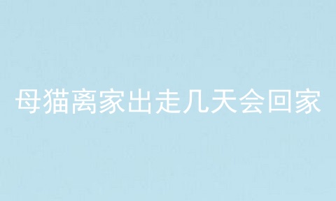 母猫离家出走几天会回家