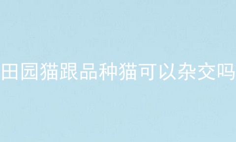 田园猫跟品种猫可以杂交吗