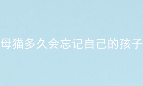 母猫多久会忘记自己的孩子