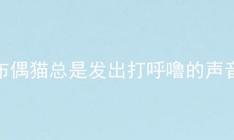 布偶猫总是发出打呼噜的声音