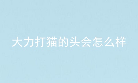大力打猫的头会怎么样