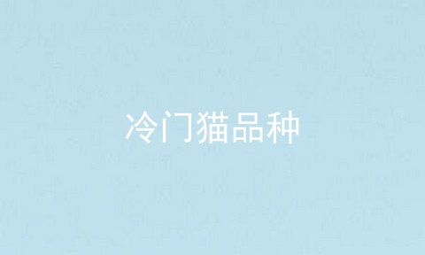 冷门猫品种