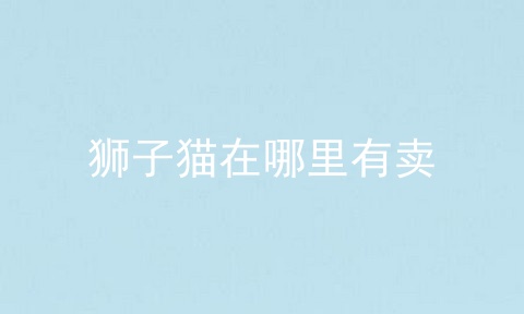 狮子猫在哪里有卖