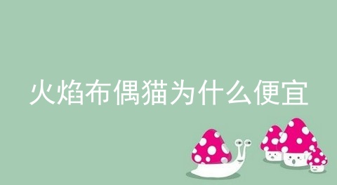 火焰布偶猫为什么便宜