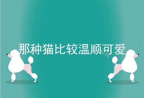 那种猫比较温顺可爱