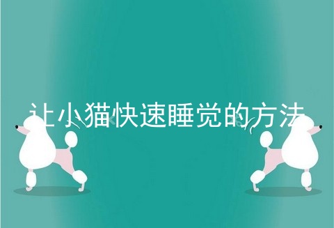 让小猫快速睡觉的方法