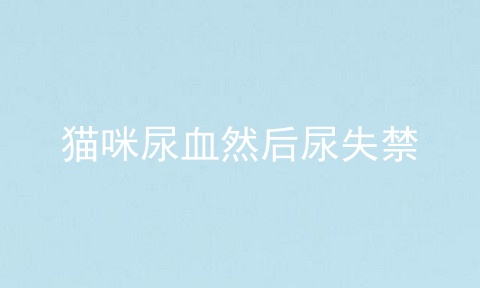 猫咪尿血然后尿失禁