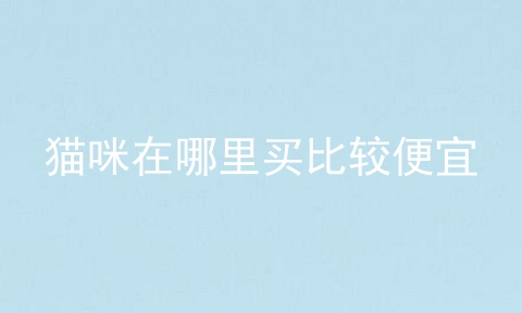 猫咪在哪里买比较便宜