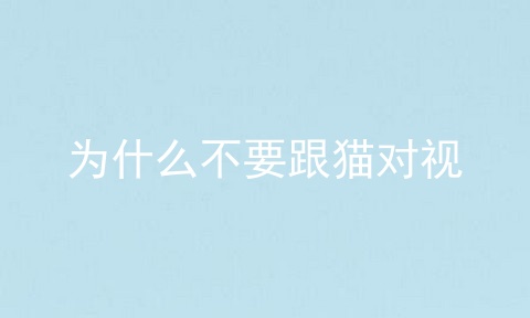 为什么不要跟猫对视