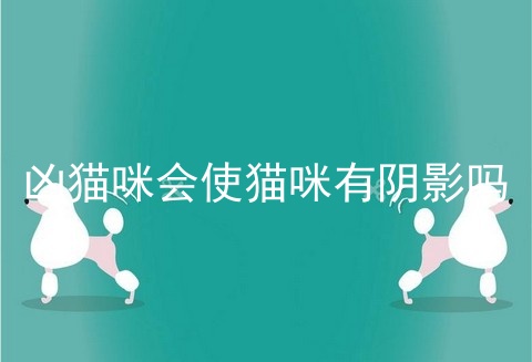 凶猫咪会使猫咪有阴影吗