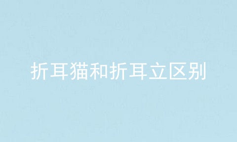 折耳猫和折耳立区别