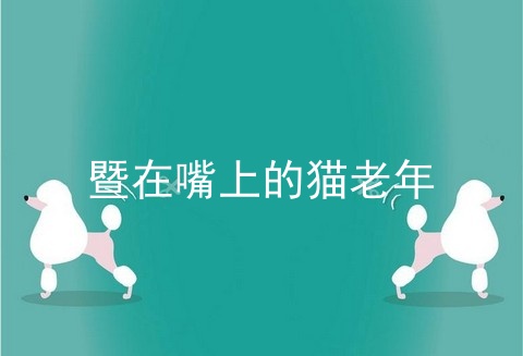 暨在嘴上的猫老年