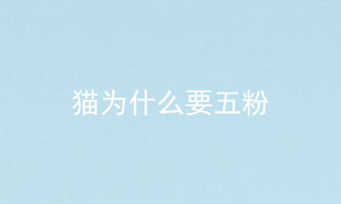 猫为什么要五粉