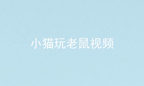 小猫玩老鼠视频