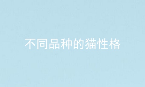 不同品种的猫性格