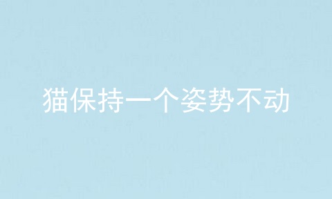 猫保持一个姿势不动