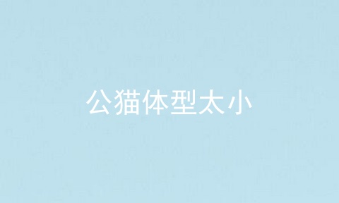 公猫体型太小