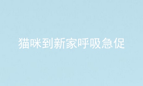 猫咪到新家呼吸急促