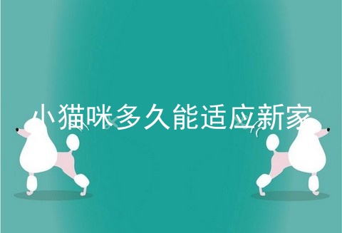 小猫咪多久能适应新家