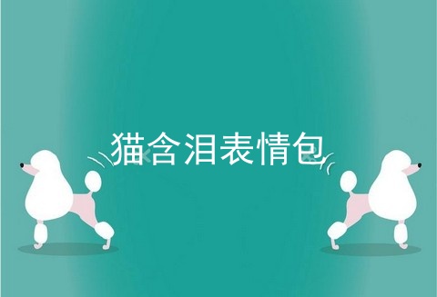 猫含泪表情包