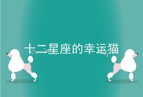 十二星座的幸运猫