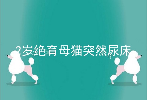 2岁绝育母猫突然尿床