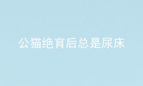 公猫绝育后总是尿床