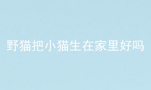 野猫把小猫生在家里好吗