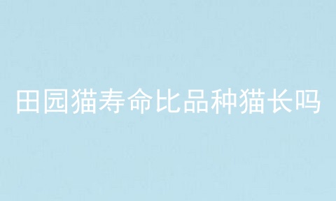 田园猫寿命比品种猫长吗
