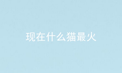 现在什么猫最火
