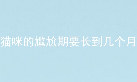 猫咪的尴尬期要长到几个月